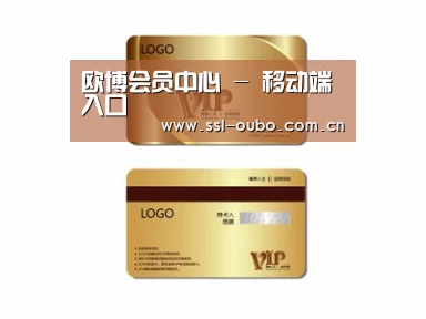 项目名称三