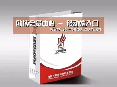 项目名称十三