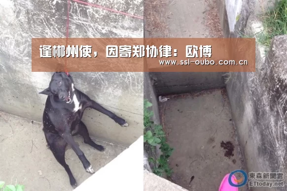 逢郴州使,因寄郑协律:欧博(图1) 欧博入口