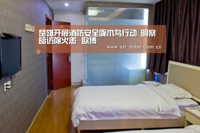 楚雄开展消防安全啄木鸟行动 明察暗访除火患-欧博(图2) 欧博娱乐