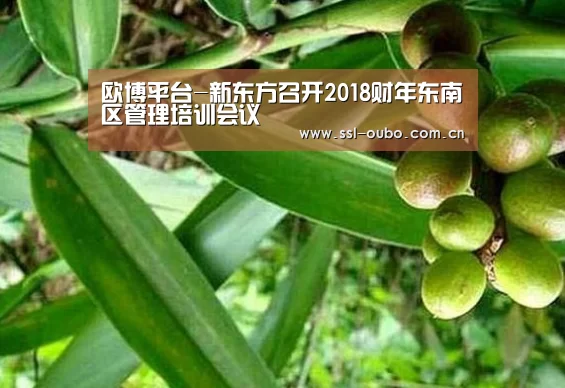 欧博平台-新东方召开2018财年东南区管理培训会议(图3) 欧博平台