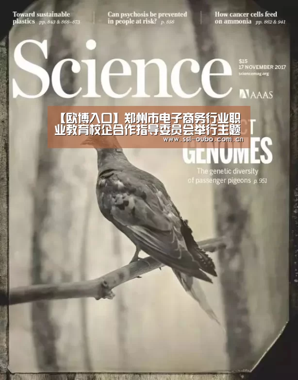 欧博