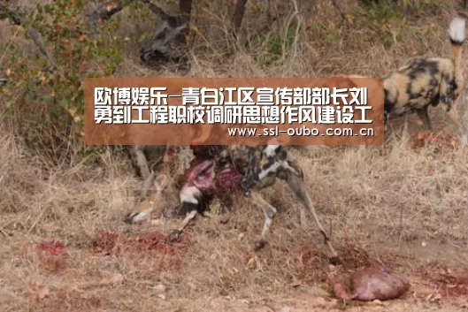 欧博娱乐-青白江区宣传部部长刘勇到工程职校调研思想作风建设工作(图1) 欧博入口